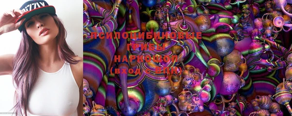 стаф Беломорск