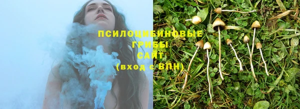 СК Богородицк