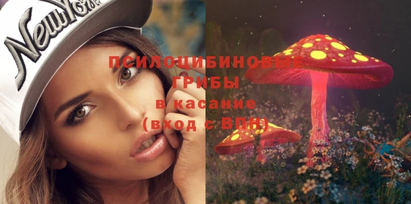 стаф Беломорск