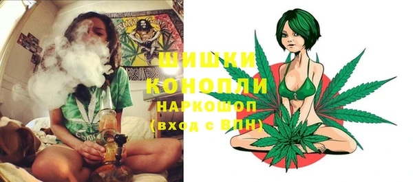 СК Богородицк