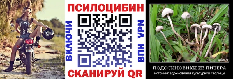 Галлюциногенные грибы мицелий  Будённовск 